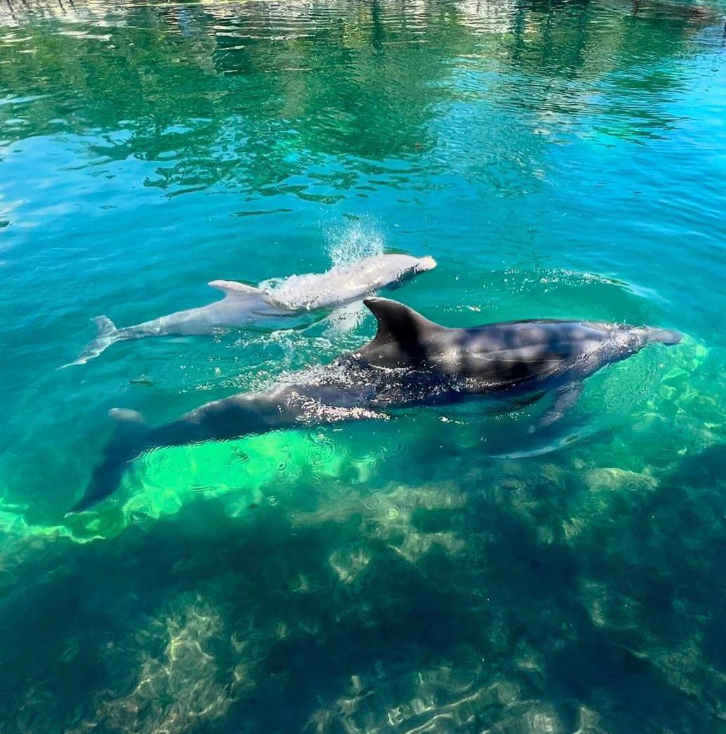 Puerto Aventuras, Departamento A Unos Pasos De La Playa Lägenhet Exteriör bild