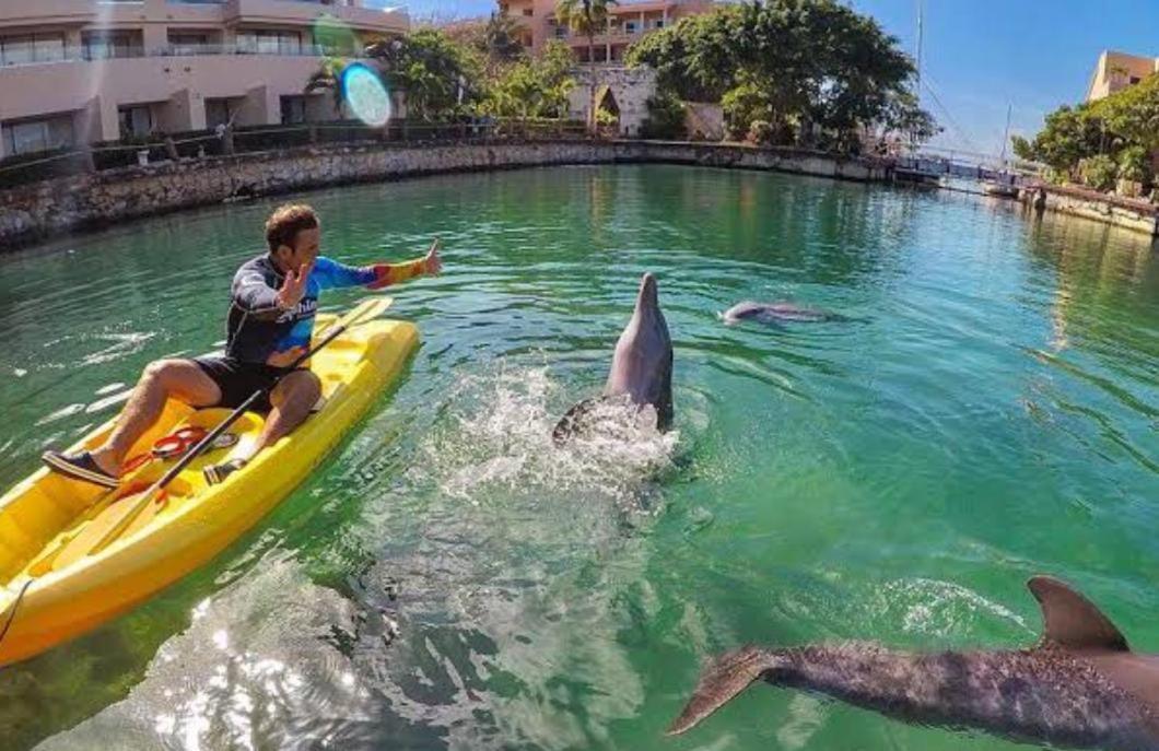 Puerto Aventuras, Departamento A Unos Pasos De La Playa Lägenhet Exteriör bild